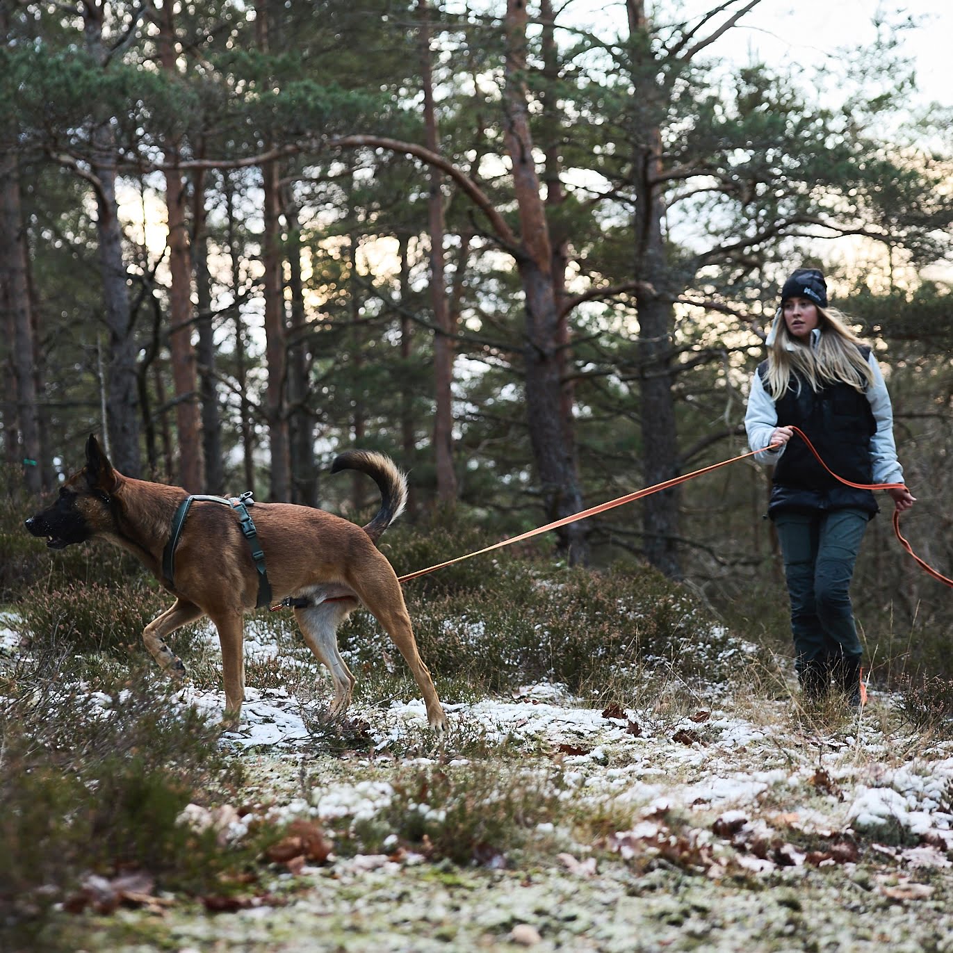 Friction Long Line – Guia para Cães (Laranja) | Non-stop dogwear