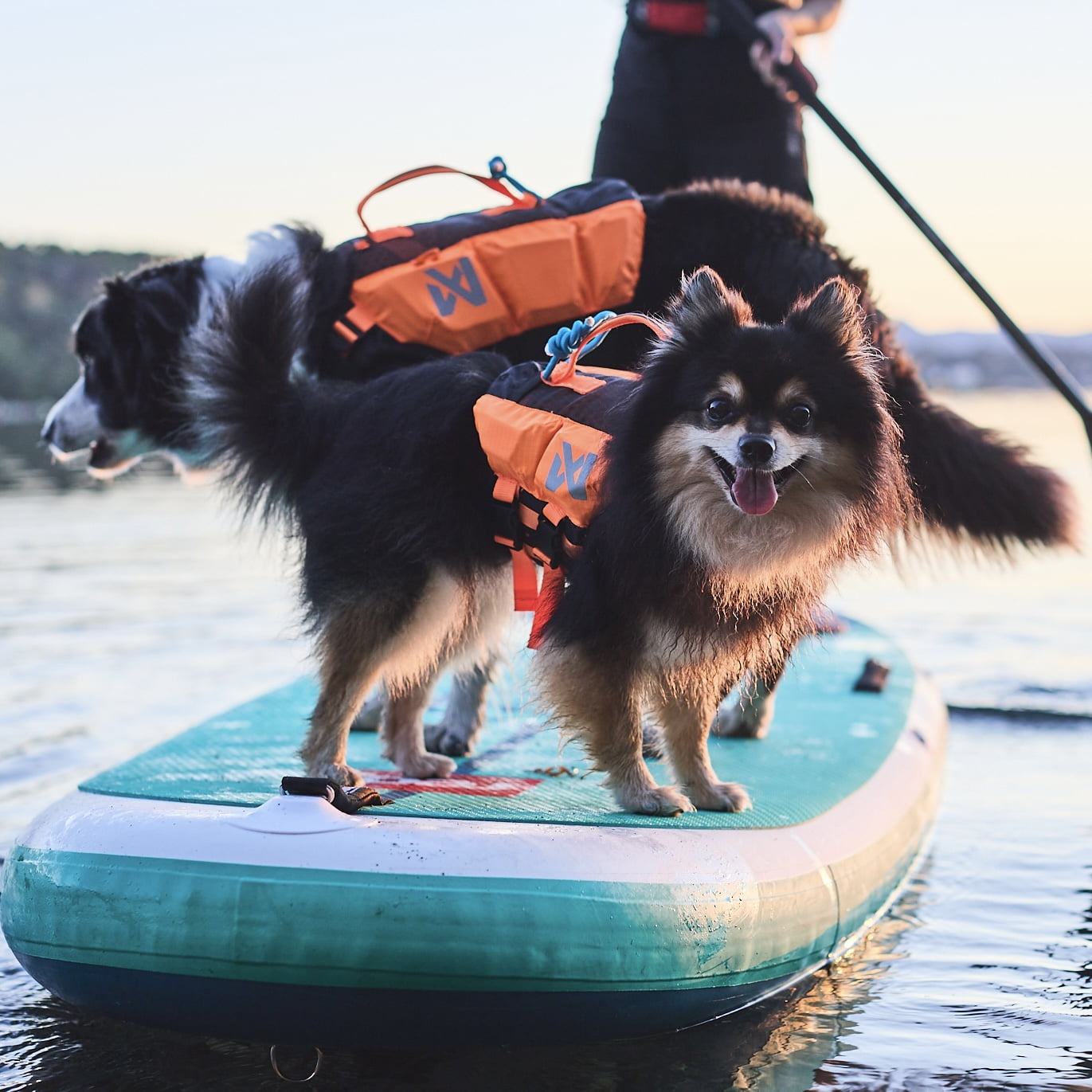 Protector Life Jacket – Colete Salva-vidas para Cães | Non-stop dogwear
