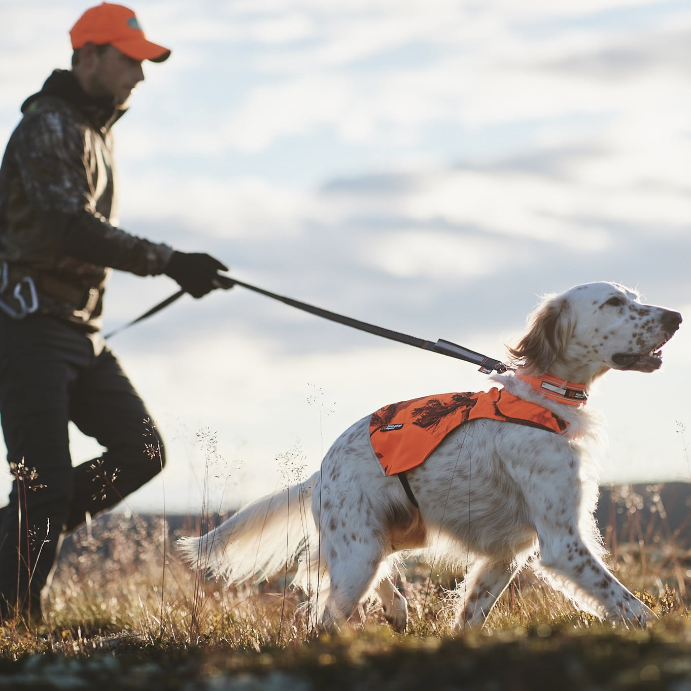 Touring Bungee Adjustable – Guia Esportiva para Cães (Preto/Cinza) | Non-stop dogwear