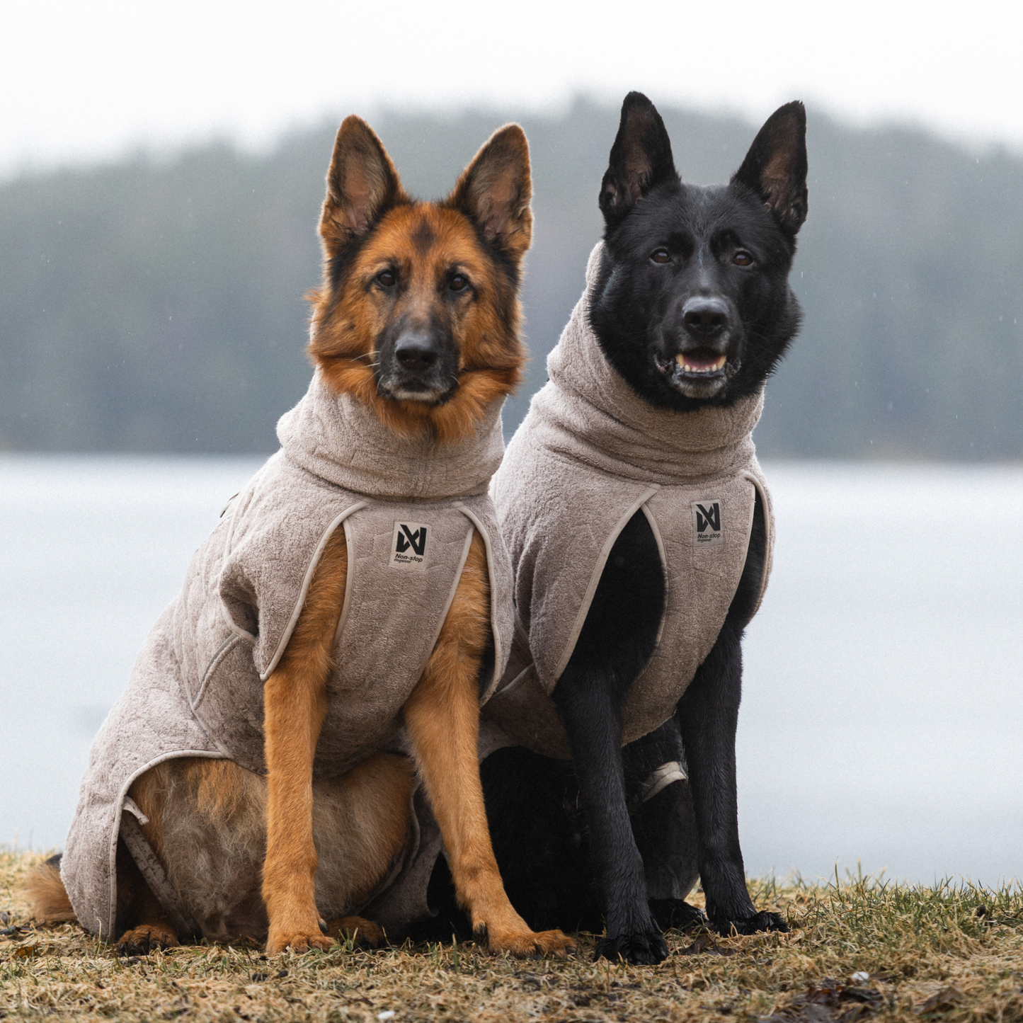 Drying coat – Roupão Secante para Cães | Non-stop dogwear
