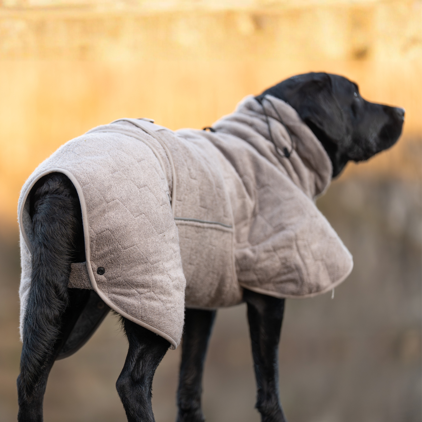 Drying coat – Roupão Secante para Cães | Non-stop dogwear