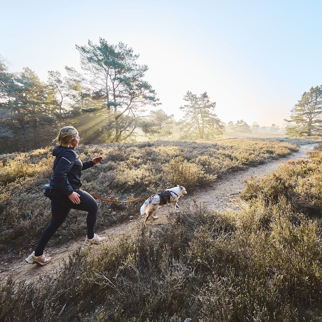 Rock Harness Long – Arnês Esportivo para Cães | Non-stop dogwear