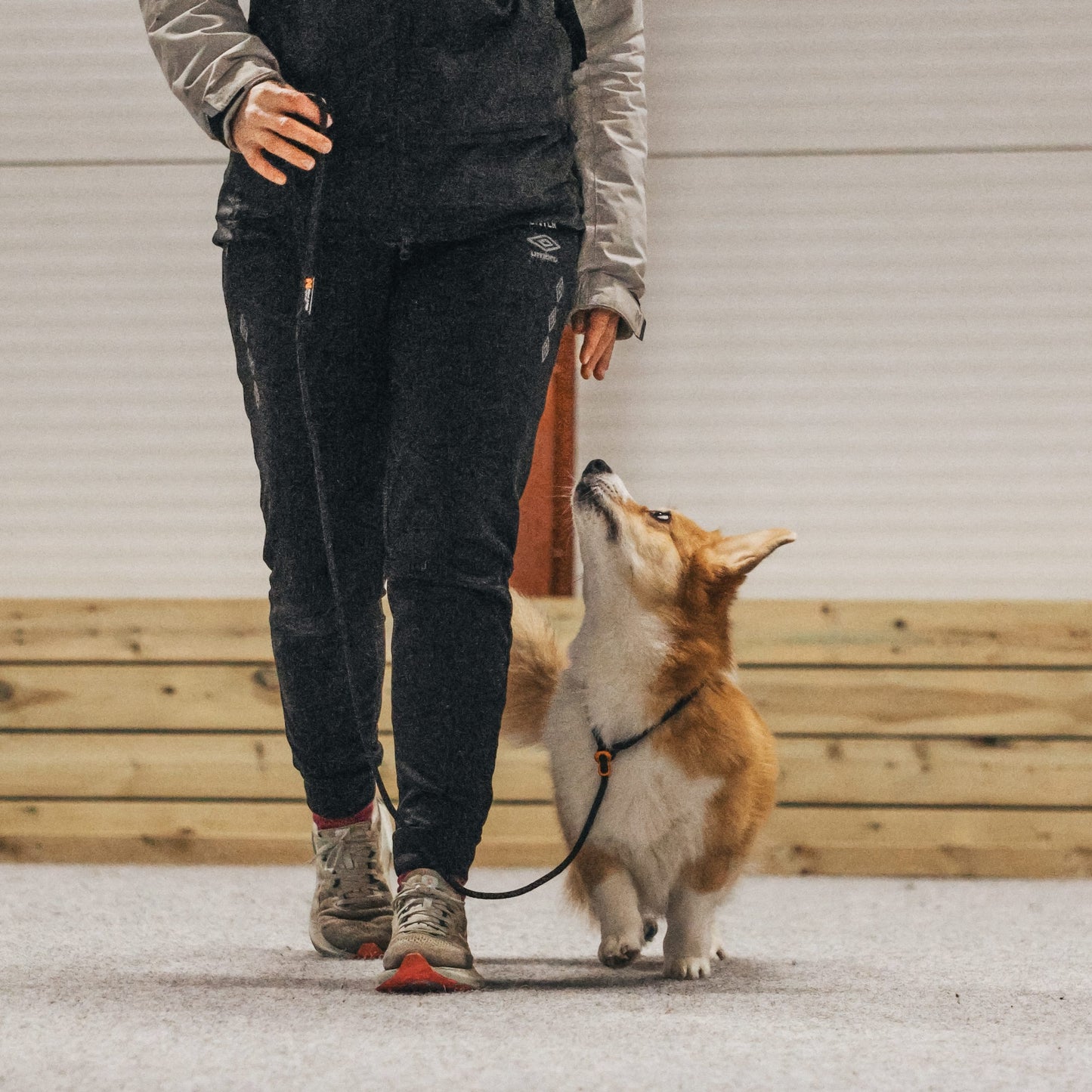 Retriever Leash – Guia Unificada para Cães | Non-stop dogwear