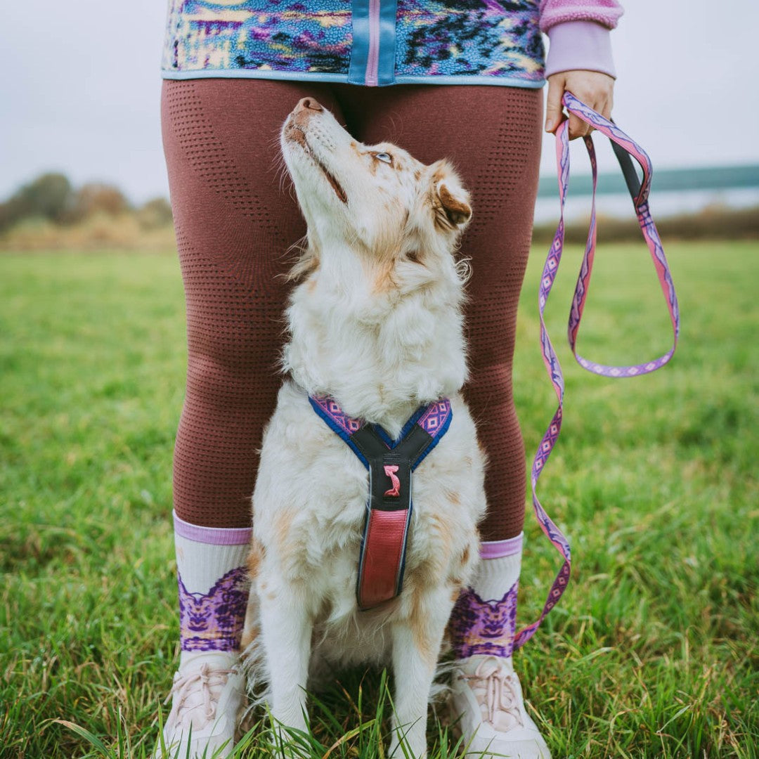 Peitoral Line 5.0 Rachel Pohl Edition | Non-stop dogwear