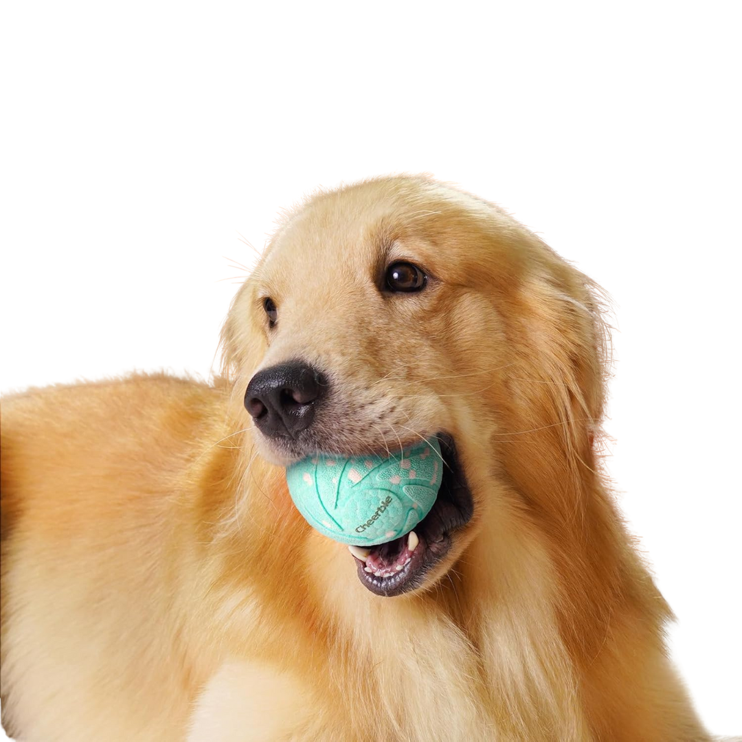 Brinquedo Interativo para Cães Wicked Ball Air | Cheerble