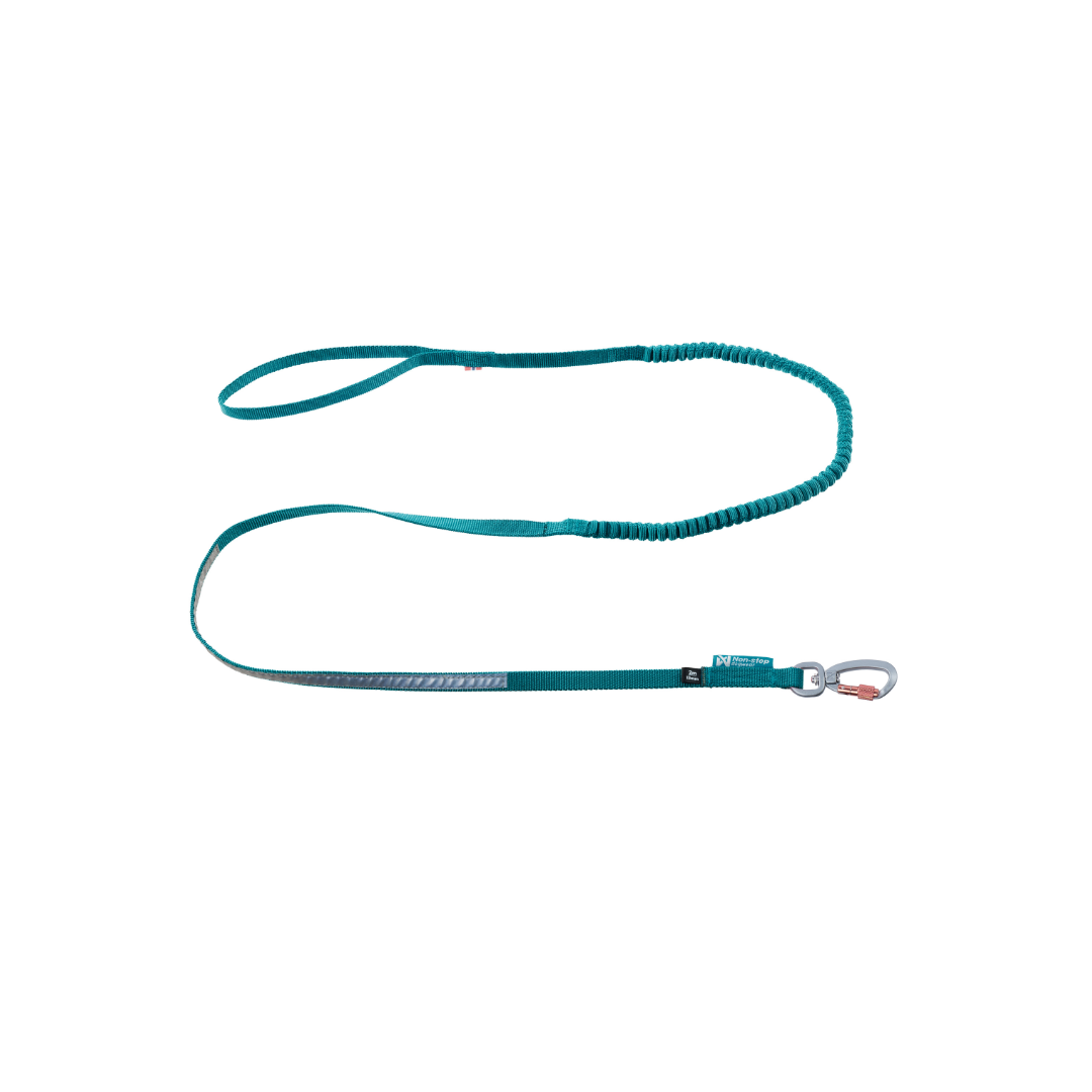 Touring Bungee Leash – Guia Esportiva para Cães | Non-stop dogwear