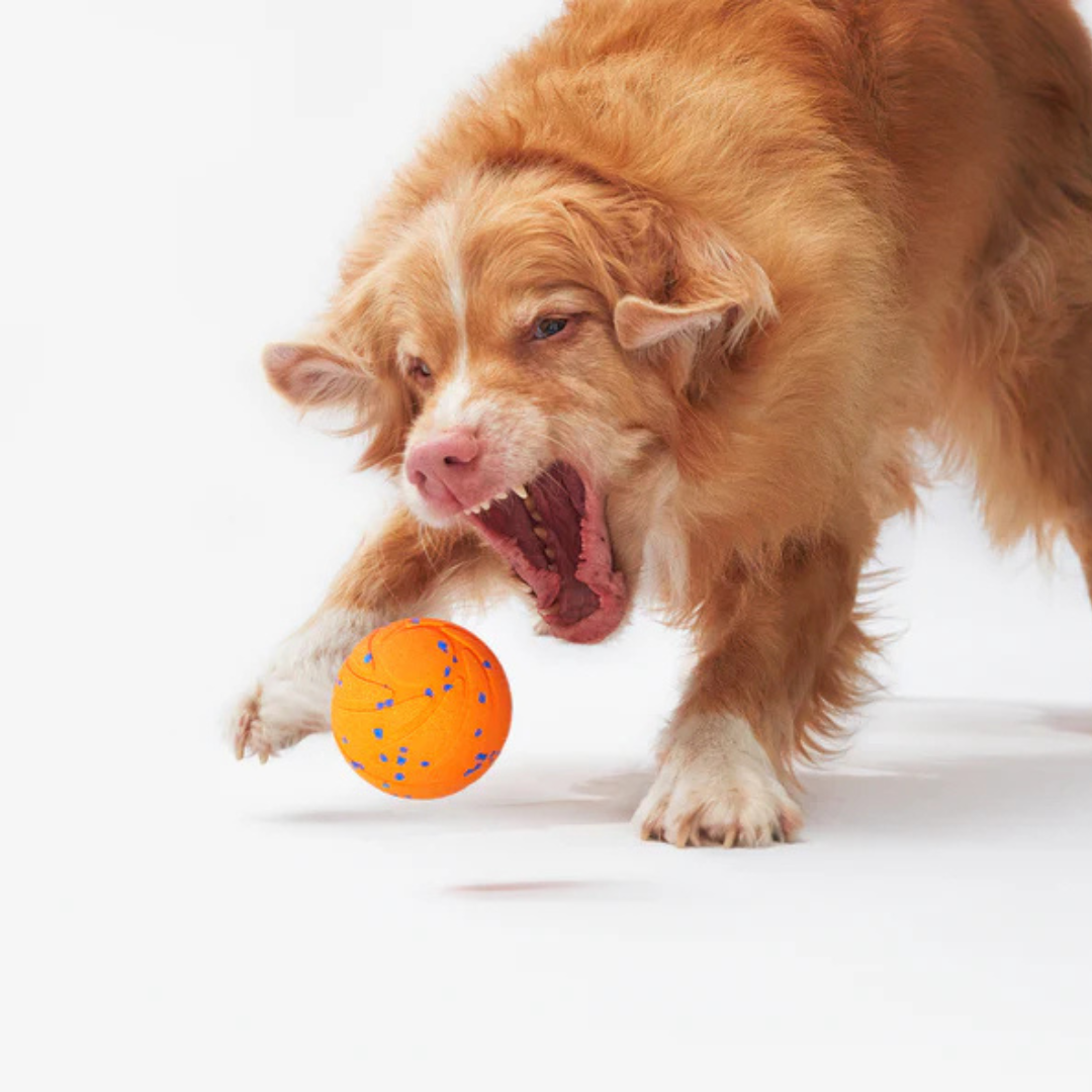 Brinquedo Interativo para Cães Wicked Ball Air | Cheerble