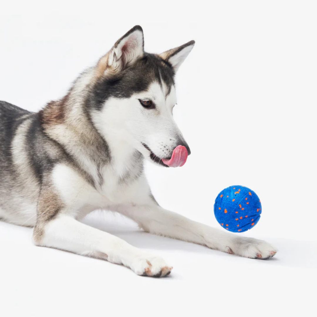 Brinquedo Interativo para Cães Wicked Ball Air | Cheerble