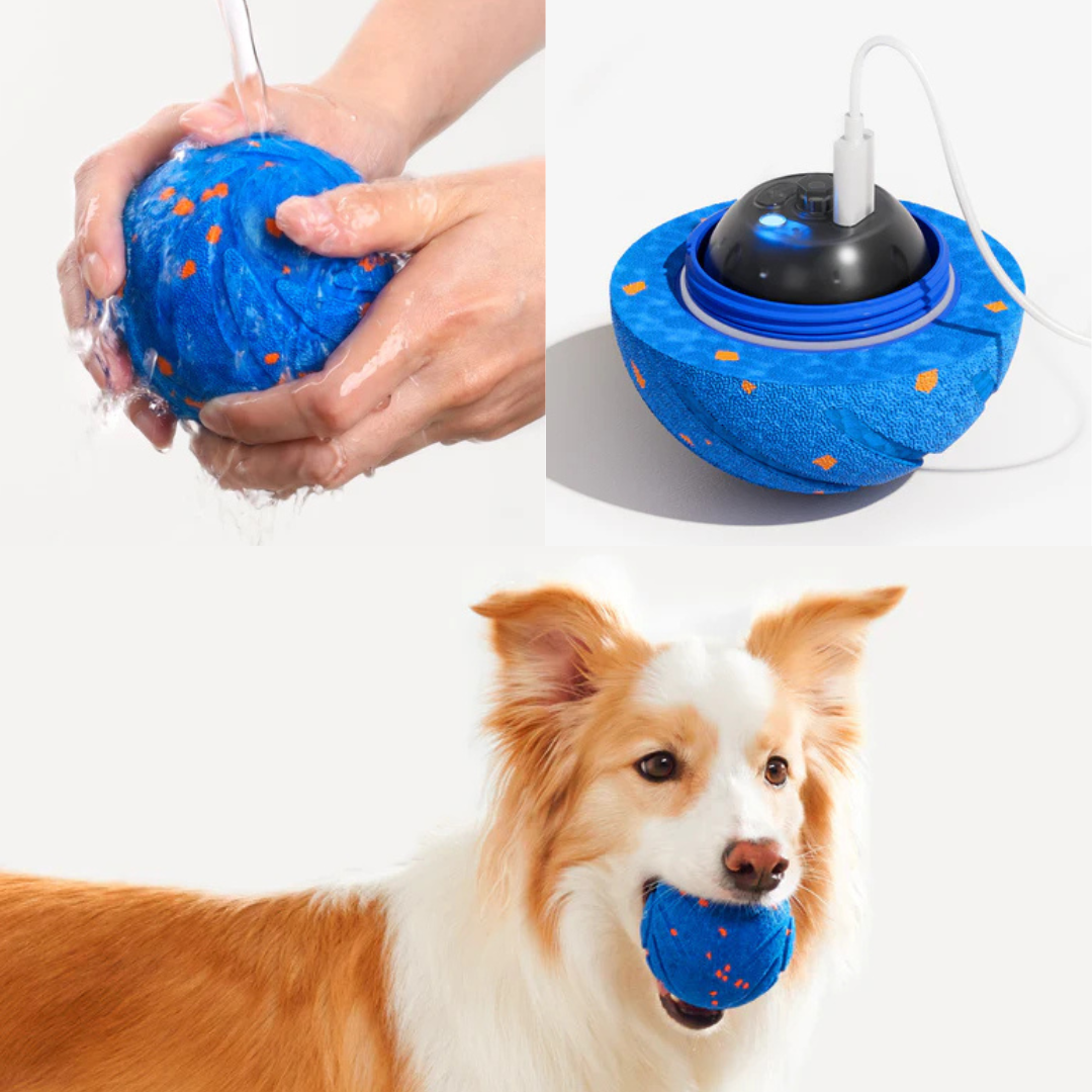 Brinquedo Interativo para Cães Wicked Ball Air | Cheerble