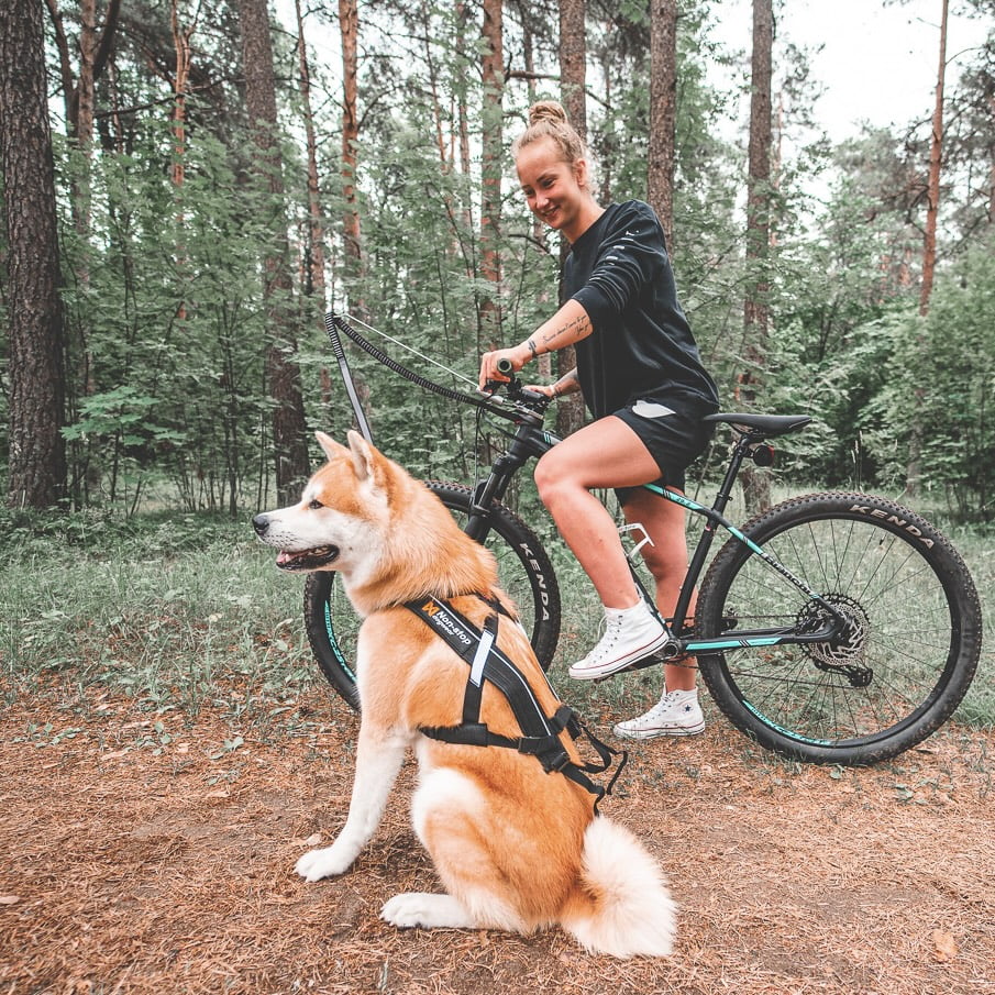 Bike Antenna – Acessório para Fixação de Guia em Bicicletas | Non-stop dogwear