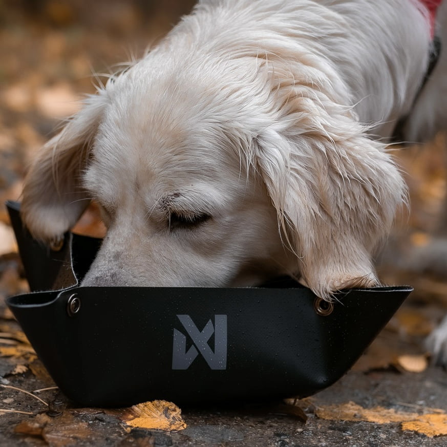 Trekking Bowl – Comedouro Dobrável para Cães (Preto) | Non-stop dogwear