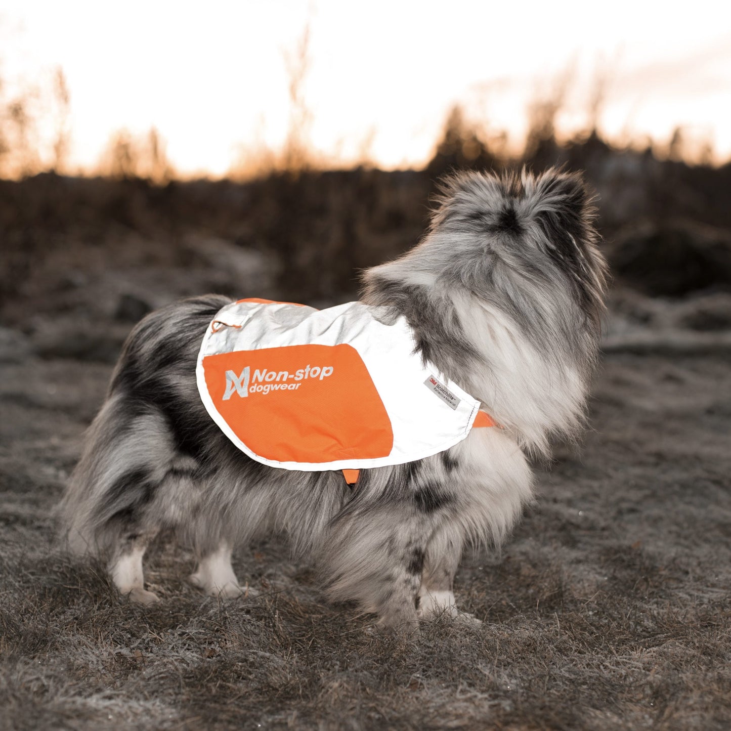 Reflection Blanket – Capa Refletiva para Cães | Non-stop dogwear