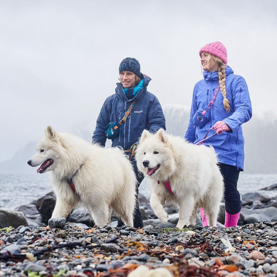 Pochete Trail Quest Rachel Pohl Edition | Non-stop dogwear