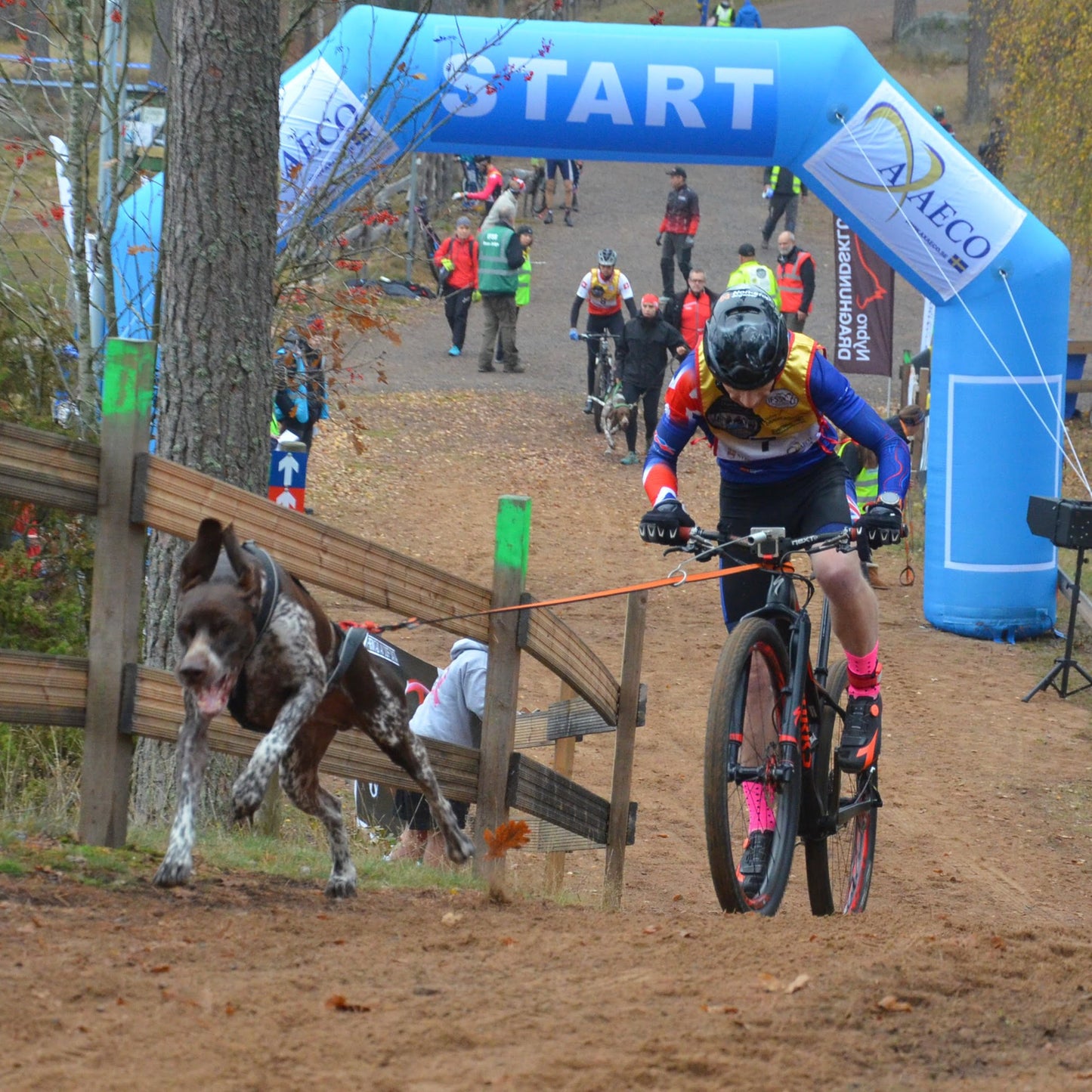 Bike Antenna KlickFix Package – Acessório para Fixação de Guia em Bicicletas | Non-stop dogwear