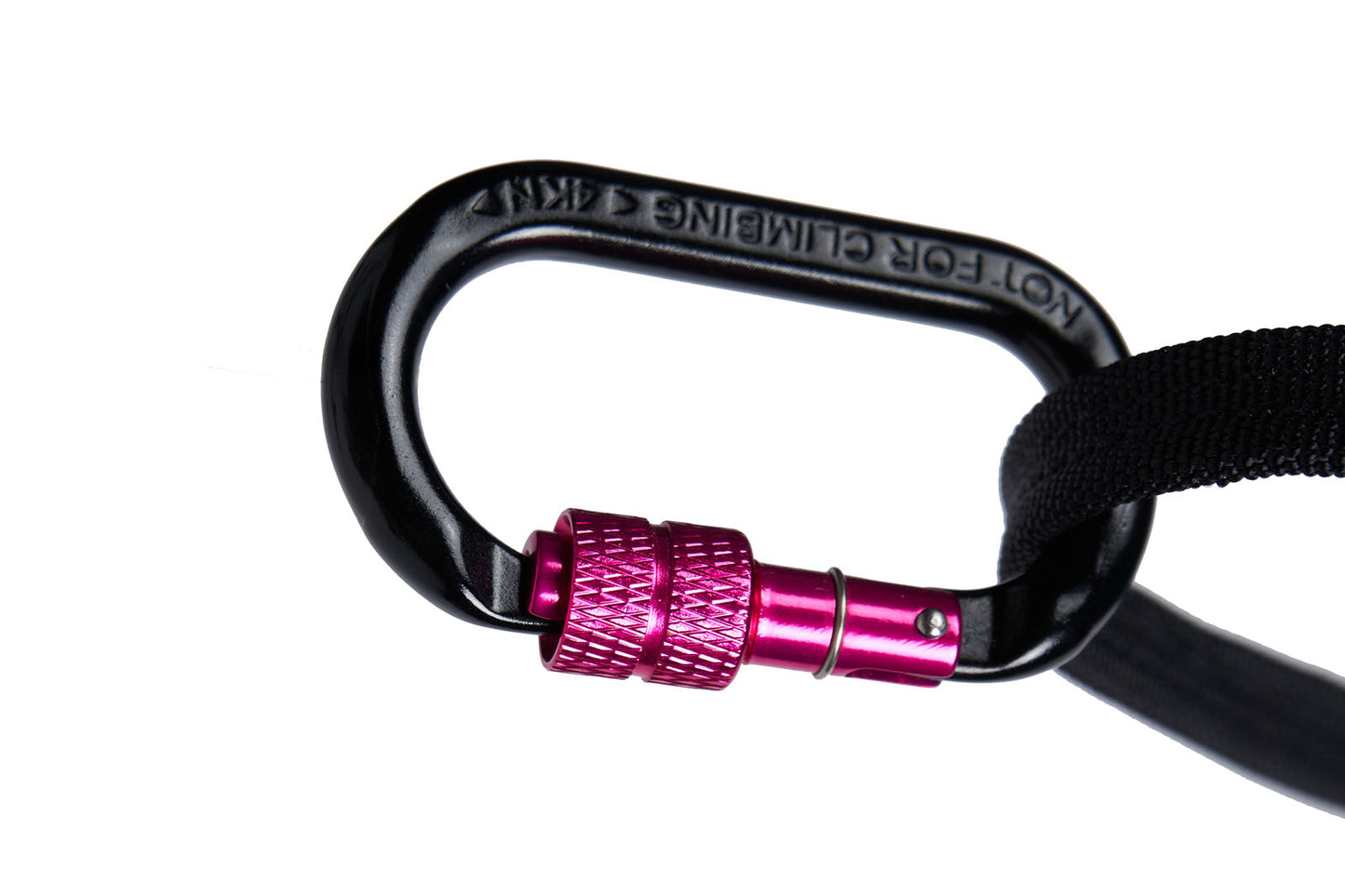 CaniX Belt 2.0 – Cinto Esportivo para Canicross | Non-stop dogwear