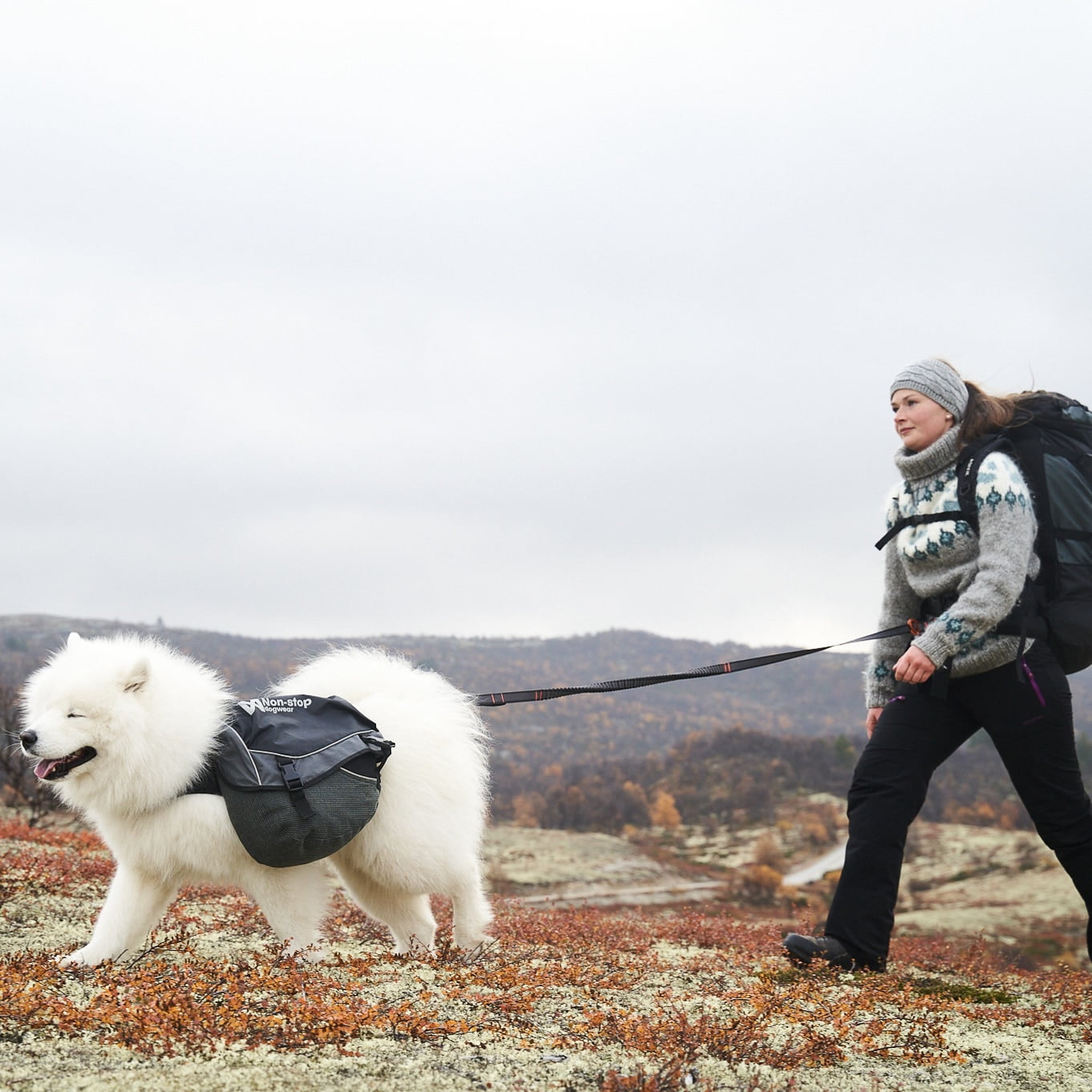 Touring Bungee Adjustable – Guia Esportiva para Cães (Preto/Cinza) | Non-stop dogwear