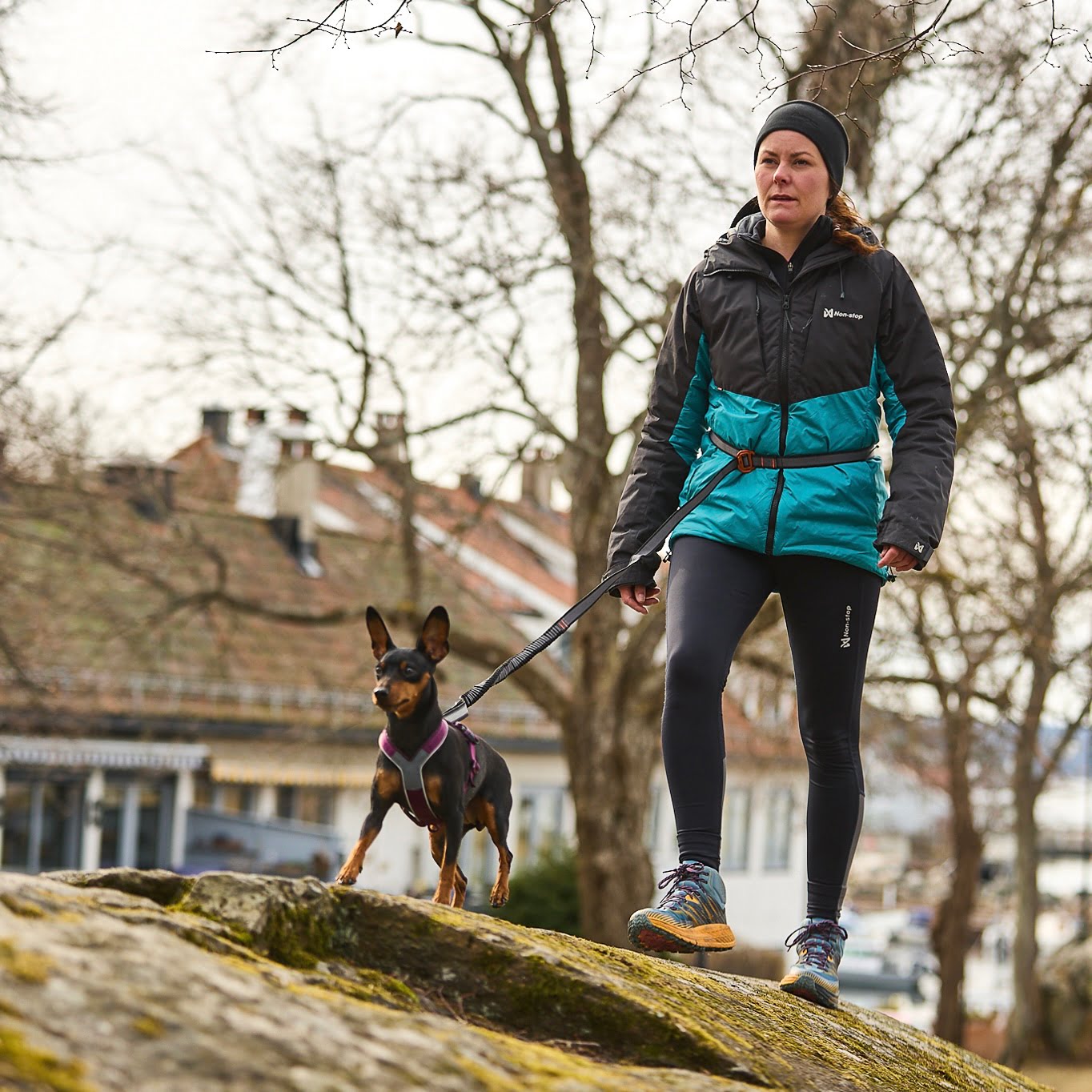 Touring Bungee Adjustable – Guia Esportiva para Cães (Preto/Cinza) | Non-stop dogwear