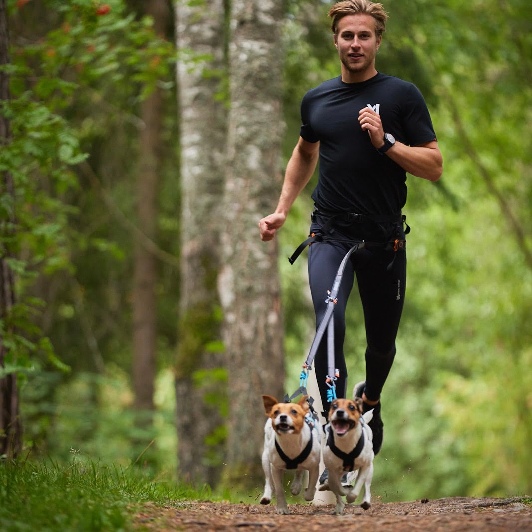 Touring Double – Guia para Cães (Preto/Cinza) | Non-stop dogwear