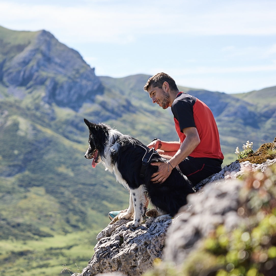 Rock Harness – Arnês Esportivo para Cães | Non-stop dogwear